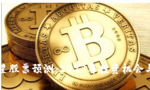 区块链明星股票预测：2023年投资机会与风险分析