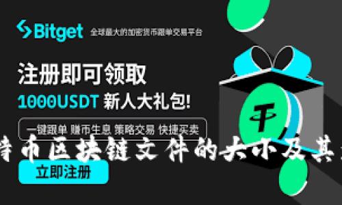 目前比特币区块链文件的大小及其影响因素