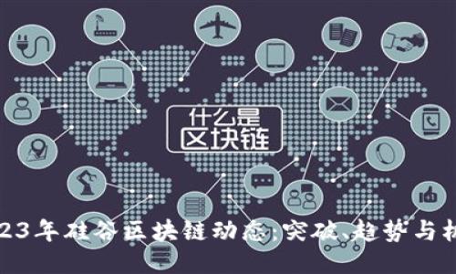 2023年硅谷区块链动态：突破、趋势与机遇