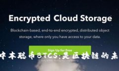 了解中本聪币BTCS：是区块链的未来吗？