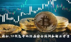 揭秘：TP钱包中的潜在安全漏洞和解决方案