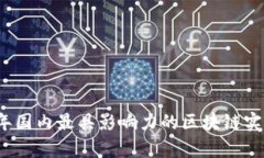 2023年国内最具影响力的区块链实例图集