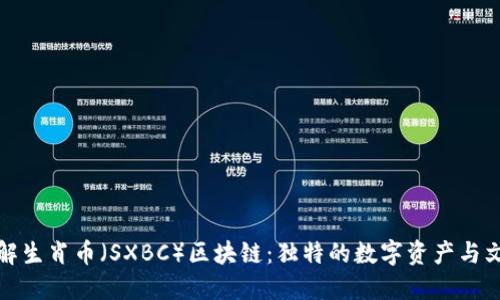 深入了解生肖币（SXBC）区块链：独特的数字资产与文化结合