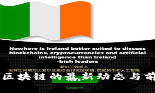 阿格斯区块链的最新动态与前景分析