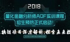 2024年度最新区块链项目深度解析，探索未来数字