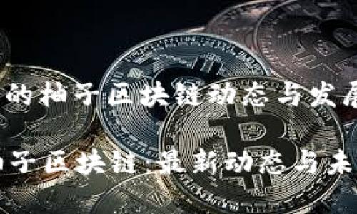 : 最新的柚子区块链动态与发展趋势

探索柚子区块链：最新动态与未来展望