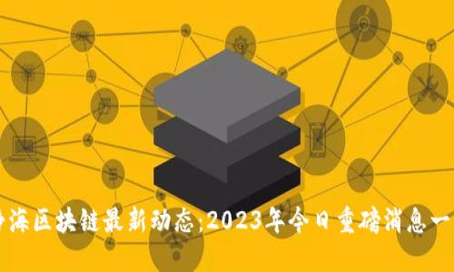 静海区块链最新动态：2023年今日重磅消息一览