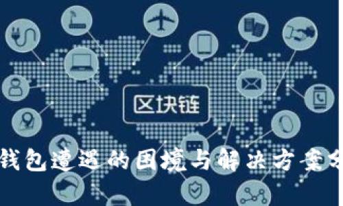 TP钱包遭遇的困境与解决方案分析
