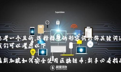 思考一个且的，选择精准的形容词修饰关键词br
我们可以考虑以下 

在新加坡如何安全使用区块链币：新手必看指南