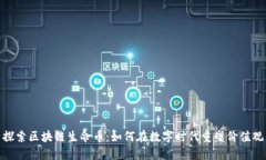 探索区块链生命币：如何在数字时代重塑价值观