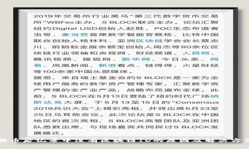 提币后记录中没有区块链ID的原因及解决方法