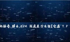 探索 T P 钱包中的 EVM：解密以太坊虚拟机的奥秘