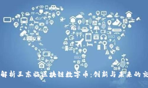 深度解析王东临区块链数字币：创新与未来的交汇点