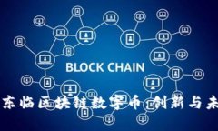 深度解析王东临区块链数字币：创新与未来的交