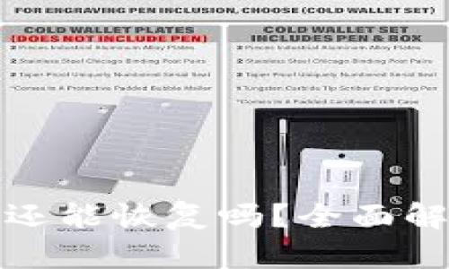 TP钱包删除后还能恢复吗？全面解析与解决方案