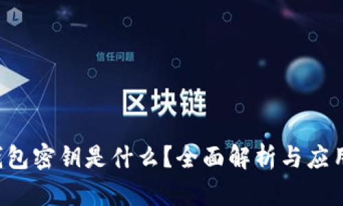 T P钱包密钥是什么？全面解析与应用指南