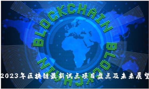 2023年区块链最新试点项目盘点及未来展望
