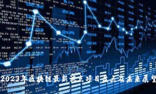 2023年区块链最新试点项目盘点及未来展望